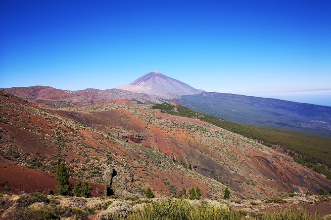 Teide National Park for smaller groups - Paradores Cañadas del Teide and Roques de García: The Main Event