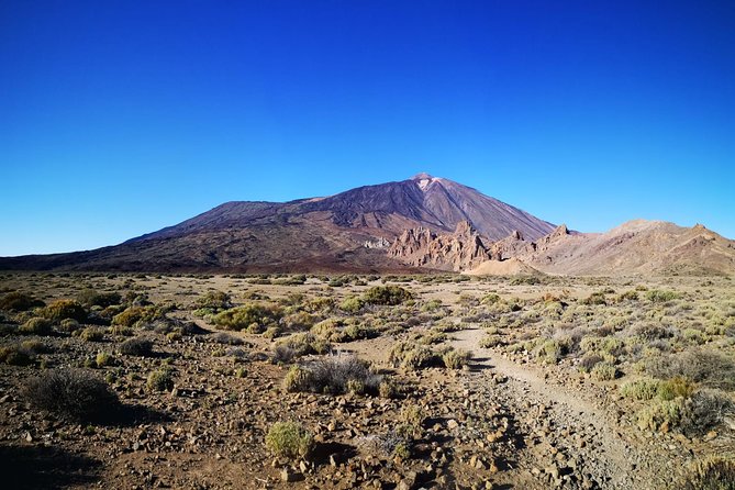 Teide National Park for smaller groups - Getting There Smoothly, Pickup Zones and the Real-World Start Time
