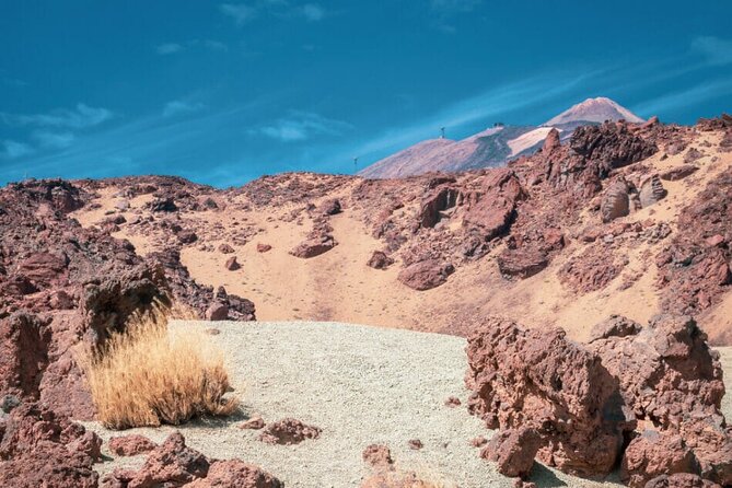 Teide National Park Full Experience with Professional Guide - Minas de San José: golden gravel, twisted rock forms, and Alto de Guajara views
