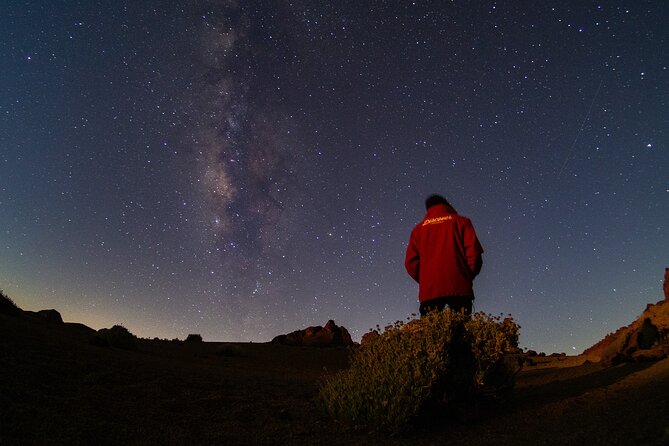 Teide National Park: Stargazing Experience - Price and value: is $41 fair for 80 minutes?