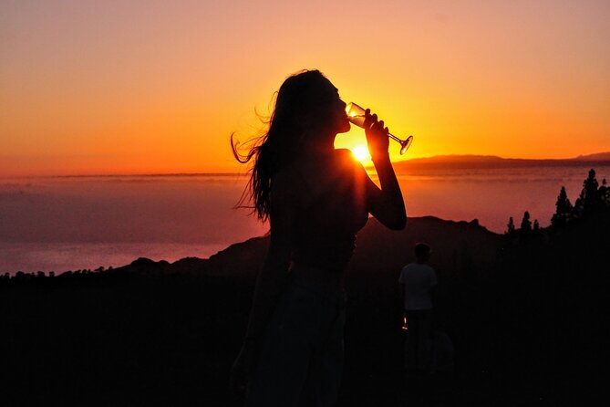 Teide National Park Sunset & Stargazing with Dinner (Star Safari) - Price and value: is $95.53 per person a good deal?