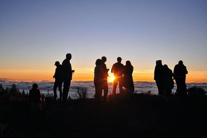 TEIDE NIGHT, Stargazing Bus Tour, Meal & Drinks included! - When this tour is a great fit