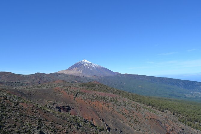 TEIDE: VIP tour - Portillo Alto café break: Barraquito and a chance to reset