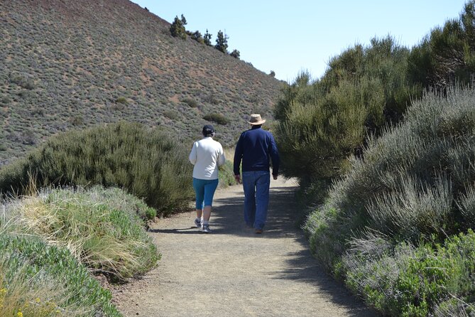 TEIDE: VIP tour - Minas de San Jose: the pumice walk that feels lunar