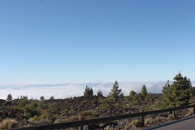 Teide Volcano National Park Quad Biking Tour - Riding through Teide National Park: forests, mountains, and big views
