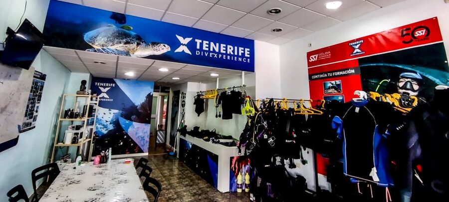 Tenerife: 2-Dive Private Scuba Discovery Course - Two underwater sessions from a speedboat: what the day looks like