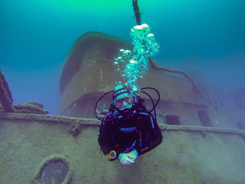 Tenerife: 2 Diving Sessions for Certified Divers - Session two: boat or shore, where variety increases
