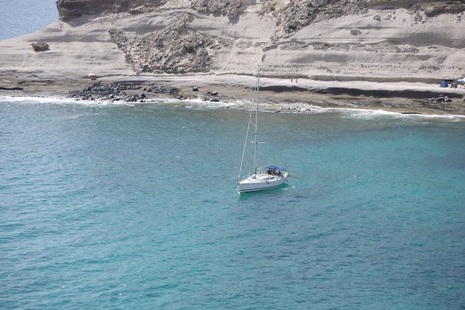 Tenerife 3-Hour Discover Whales and Dolphins - La Caleta de Adeje Snorkel Stop: The Water, the Bay, and the Lunch Rhythm