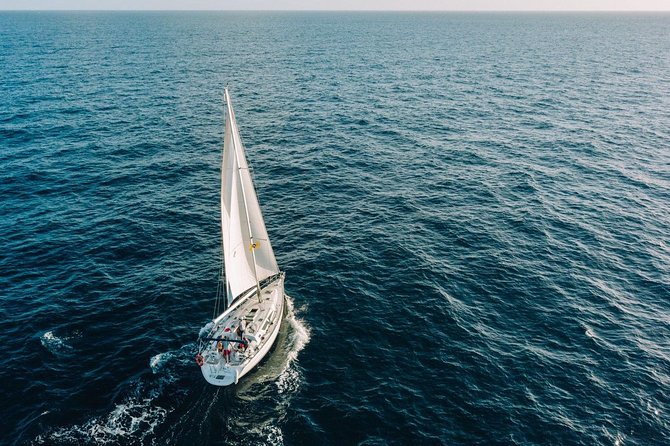Tenerife 3-Hour Discover Whales and Dolphins - Should You Book This Tenerife Whales and Dolphins Sail?