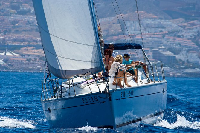 Tenerife 3-Hour Discover Whales and Dolphins - The Crew Experience: Small Boat, Big Attention