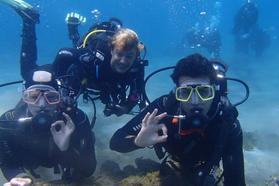 Tenerife: Abades Beach Beginner Diving Experience - Who Should Book, and Who Should Skip This Scuba Outing