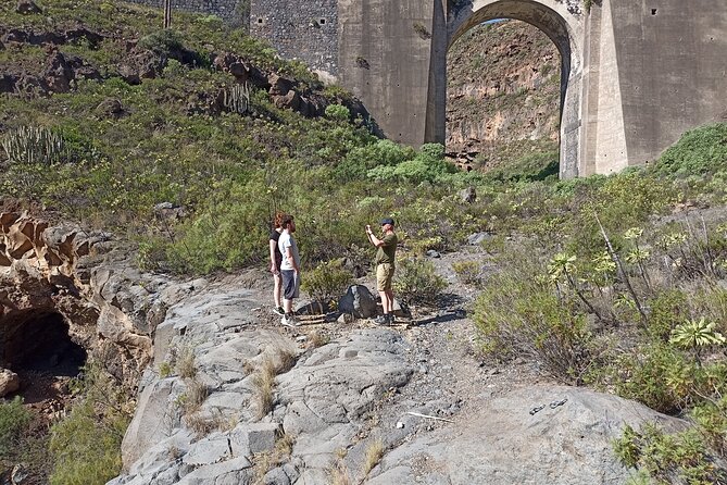 Tenerife Alternative Tour. Arico, Güímar, Fasnia- photos included - Optional Pyramids of Güímar: six terraced volcanic pyramids and a living botanical park