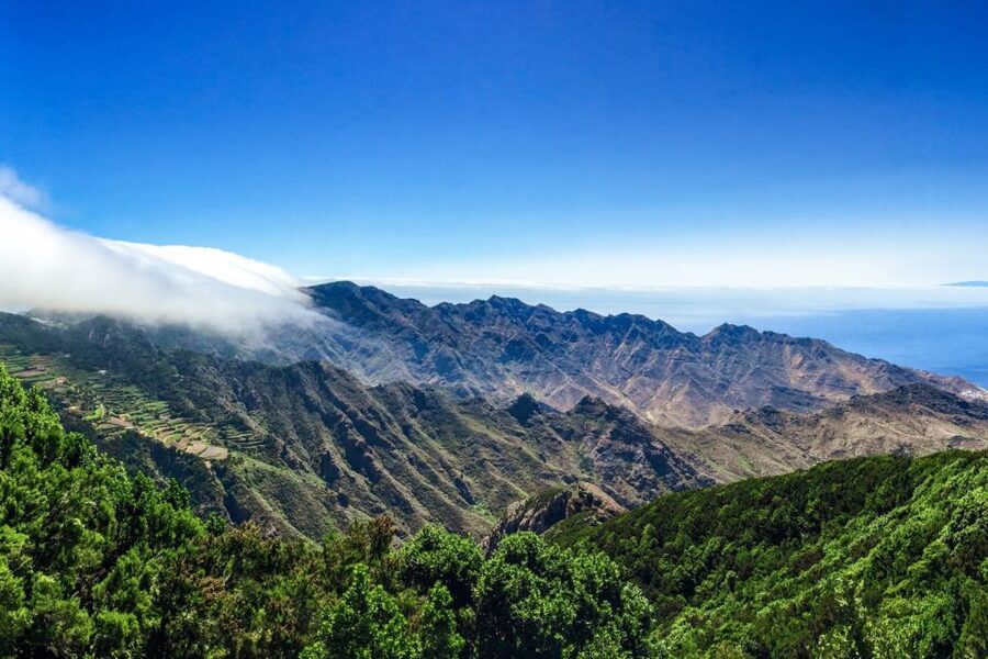 Tenerife: Anaga Rural Park Private Tour - Lunch and free time: plan for a real break, not another rushed stop