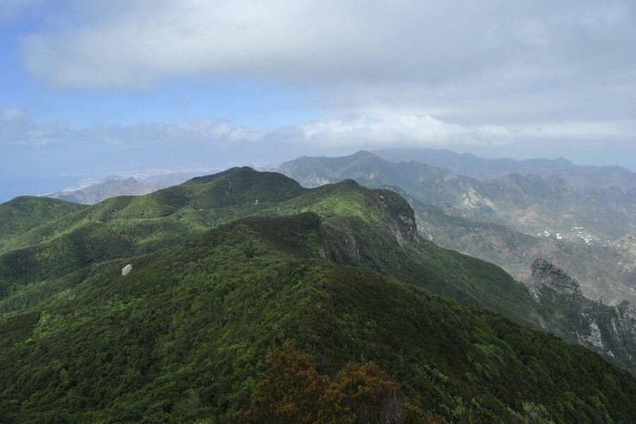 Tenerife: Anaga UNESCO VIP TOUR - Santa Cruz to Anaga in one smooth half-day