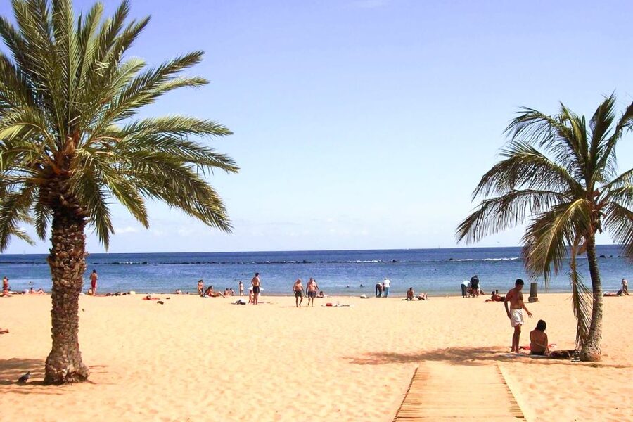 Tenerife: Anaga UNESCO VIP TOUR - Volcano and coast scenery without pretending you are a hiker
