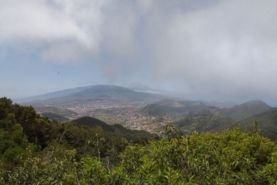 Tenerife: Anaga UNESCO VIP TOUR - Pricing and value for a $71 half-day