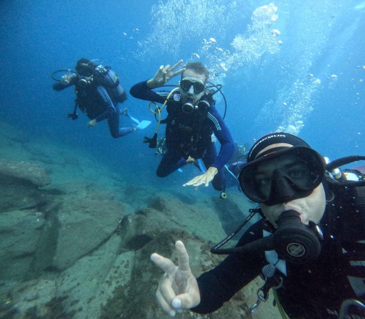 Tenerife: Beginner's Dive at a Spot with Turtle Sightings - Key highlights that make this Tenerife scuba intro special
