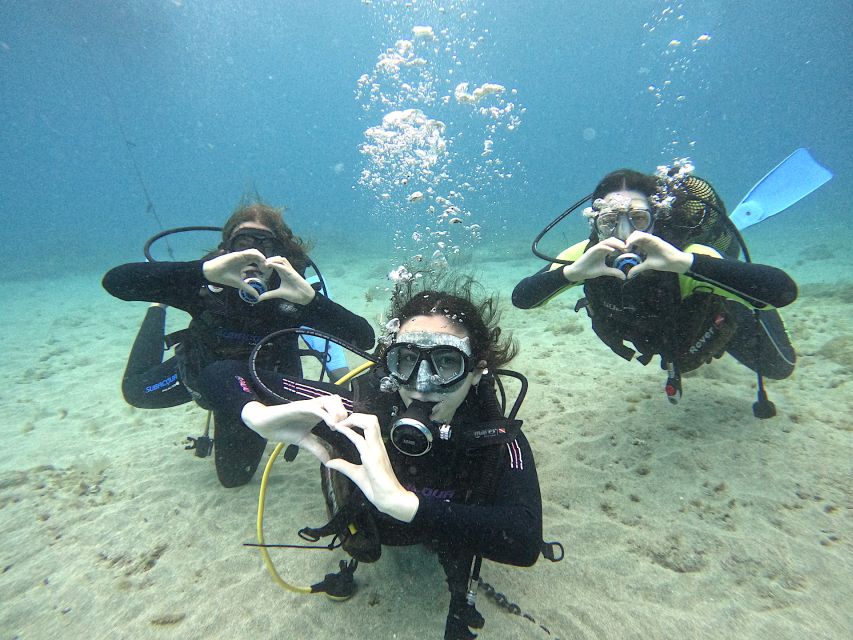 Tenerife: Beginner's Dive at a Spot with Turtle Sightings - Puerto Colón meet-up and the safety briefing that matters