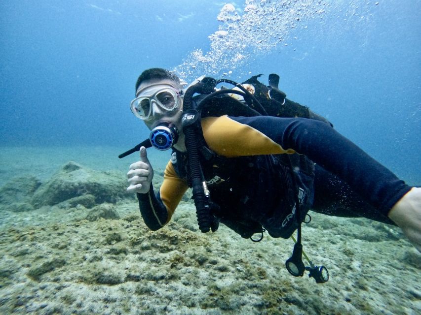 Tenerife: Beginner's Dive at a Spot with Turtle Sightings - Gear fitting in a small-group setup (wetsuit, mask, fins, and tanks)
