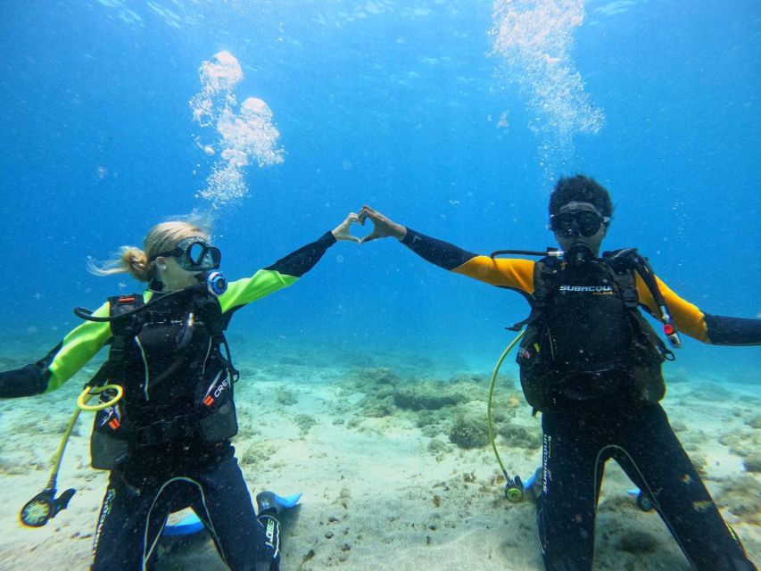 Tenerife: Beginner's Dive at a Spot with Turtle Sightings - Your shallow underwater session: what it feels like and how you stay in control