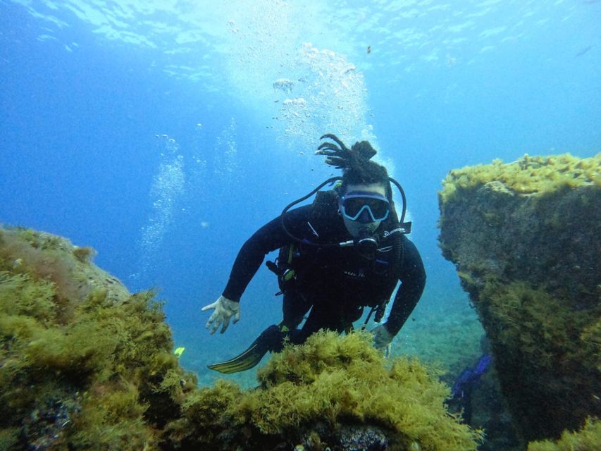 Tenerife: Beginner's Dive at a Spot with Turtle Sightings - Instructor care, group ratio, and what safety actually looks like