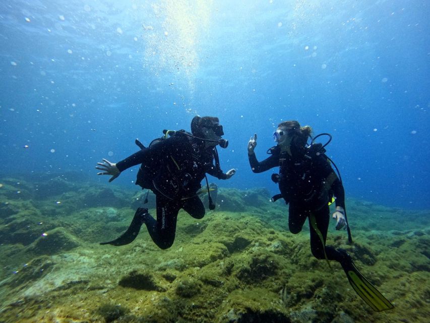 Tenerife: Beginner's Dive at a Spot with Turtle Sightings - Price and value: why $82 can make sense for a 2-hour intro