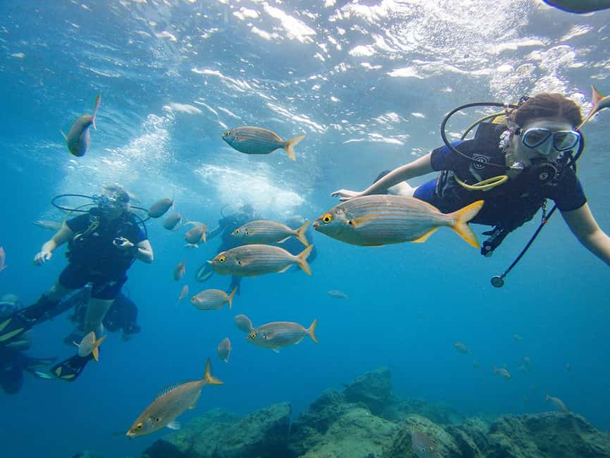 Tenerife: Beginner Scuba Diving Experience with Pickup - Key things that make this Tenerife scuba experience worth it