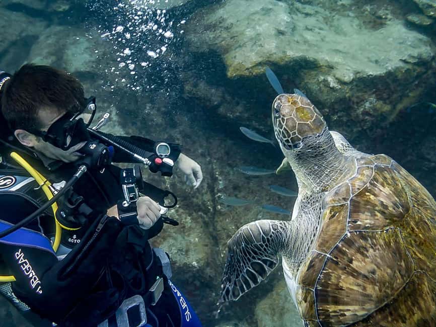 Tenerife: Beginner Scuba Diving Experience with Pickup - Tenerife first-time scuba, and why this format works