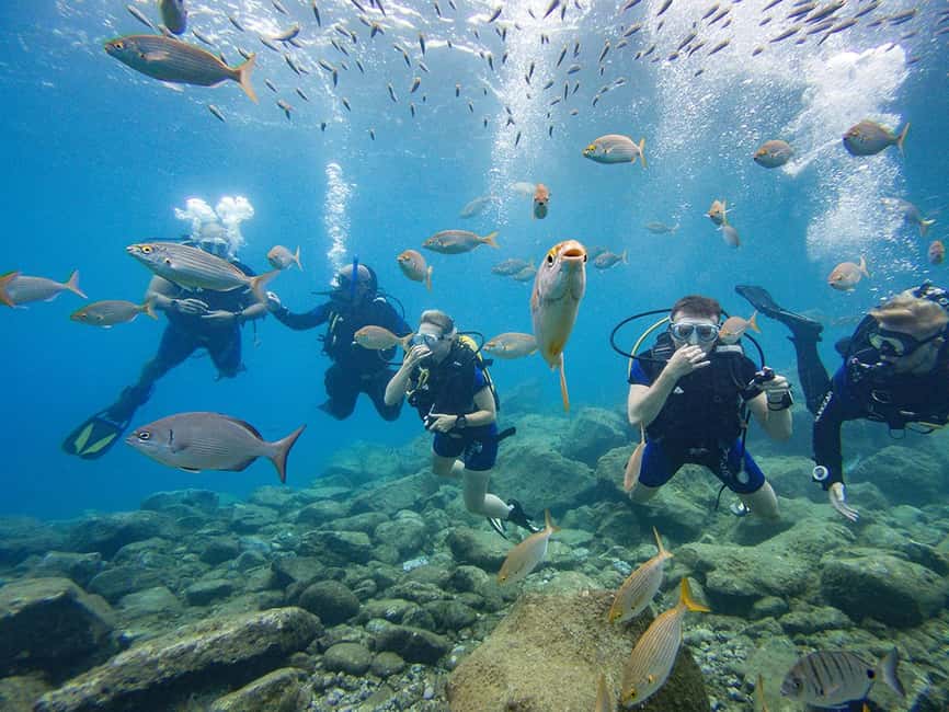 Tenerife: Beginner Scuba Diving Experience with Pickup - Check-in at C. las Lagunetas, 2 and your 30-minute safety briefing
