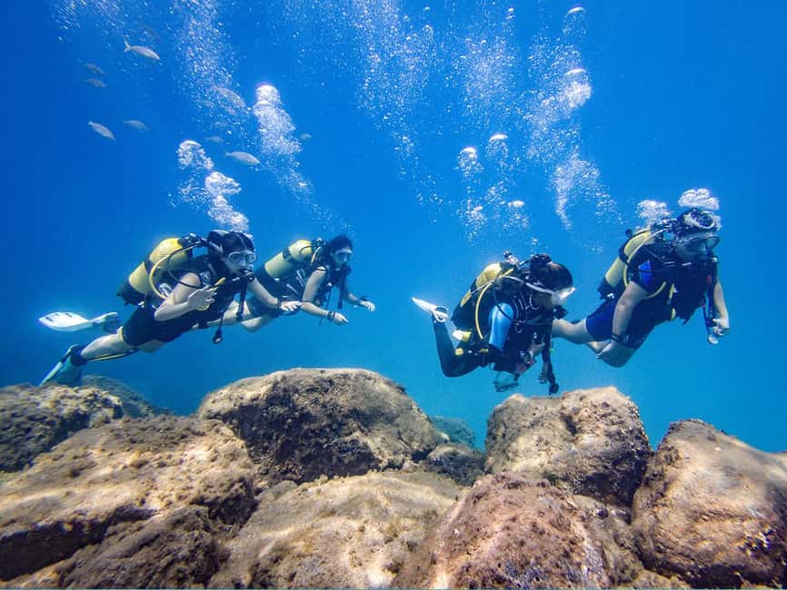 Tenerife: Beginner Scuba Diving Experience with Pickup - Gear up with rental equipment, then learn breathing and buoyancy the easy way