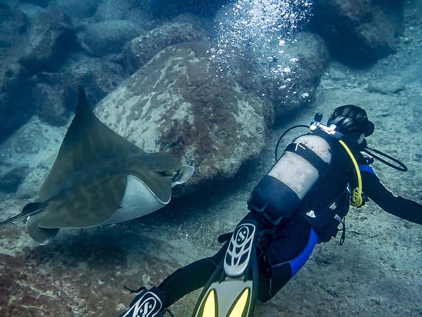 Tenerife: Beginner Scuba Diving Experience with Pickup - Stop-by-stop flow: from welcome to return to the same meeting point