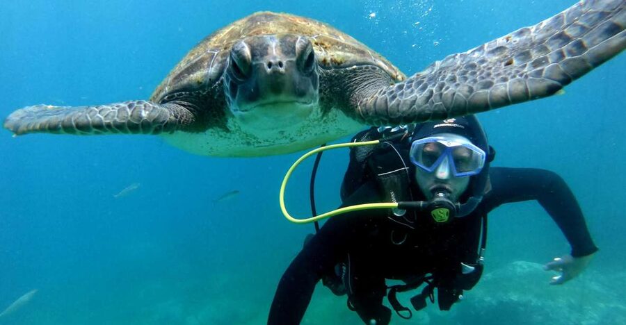 Tenerife: Beginners Scuba Dive Experience in Turtle Area - The speedboat transfer, plus those coastline and sea-top views