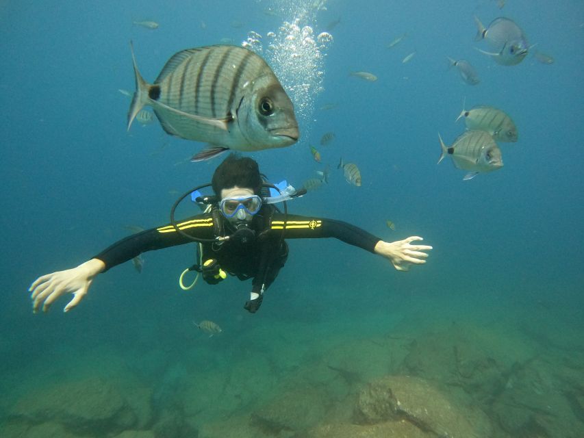 Tenerife: Beginners Scuba Dive Experience in Turtle Area - Safety briefing and gear fitting, the part that makes beginners relax