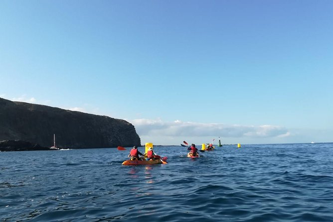 Tenerife by Kayak Adventure in small group - Key Highlights You Will Actually Care About