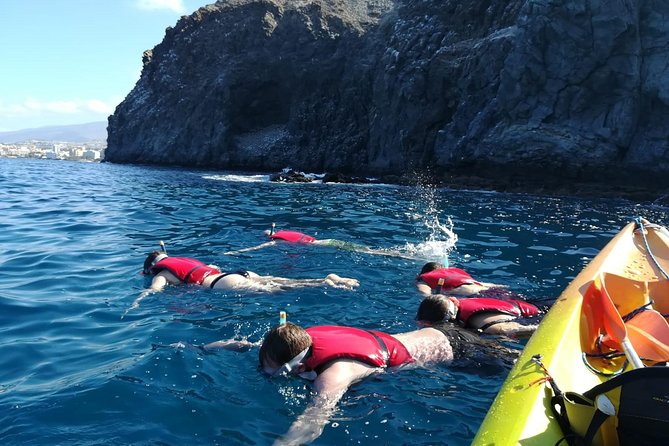 Tenerife by Kayak Adventure in small group - Gear, Safety, Swim Skills, and Seasickness Reality
