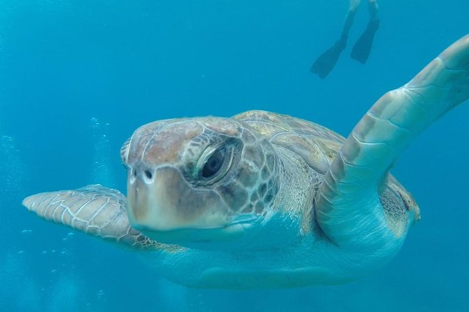 Tenerife by Kayak Adventure in small group - Small-Group Pacing and the Daniel Factor