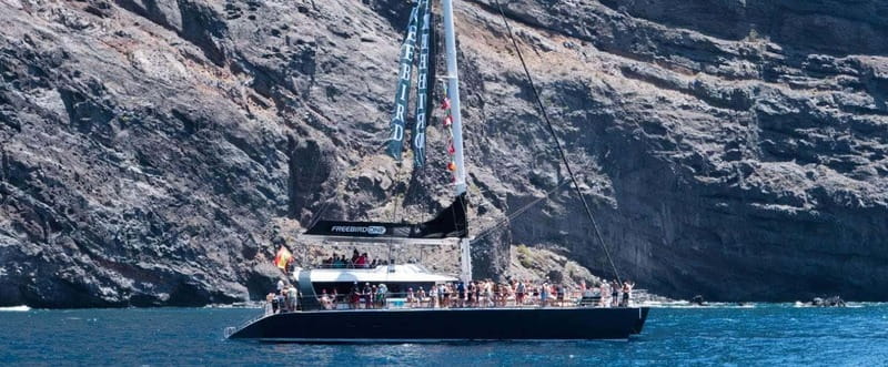 Tenerife: Catamaran Cruise with an Open Bar - Picking the right cruise length: 3 hours vs 4.5 hours