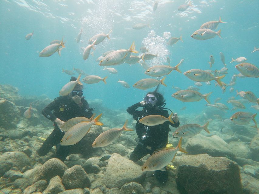 Tenerife: Costa Adeje Private Diving Lesson Experience - Key highlights to know before you go