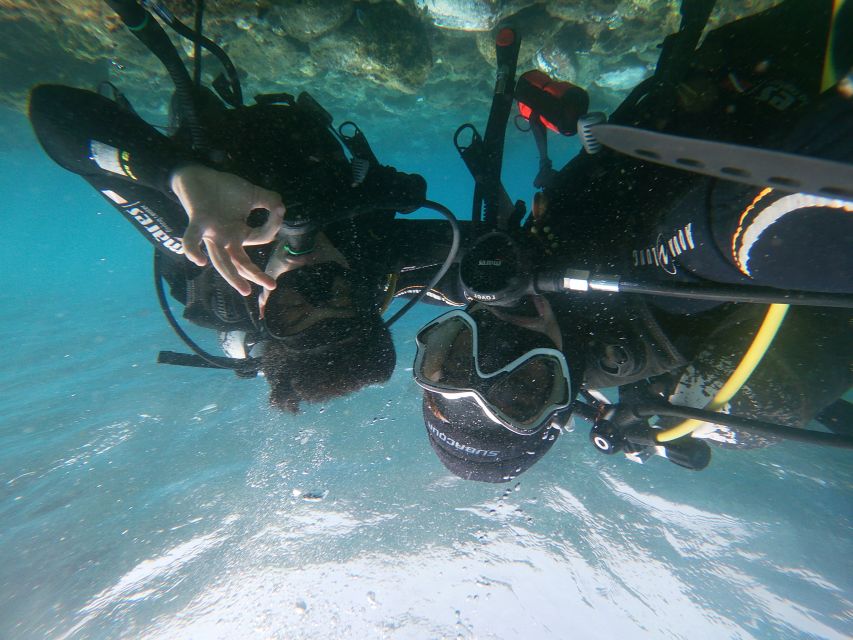 Tenerife: Costa Adeje Private Diving Lesson Experience - Should you book this Costa Adeje scuba lesson with Iki?