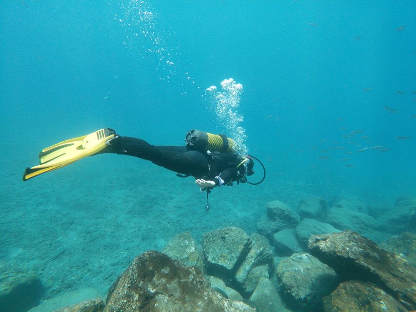 Tenerife: Costa Adeje Private Diving Lesson Experience - Buoyancy coaching and swimming technique, taught step by step