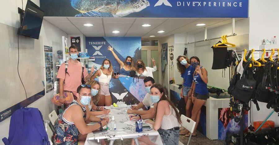 Tenerife: Costa Adeje Private Diving Lesson Experience - Your 1 underwater session: clear turquoise water and real wildlife
