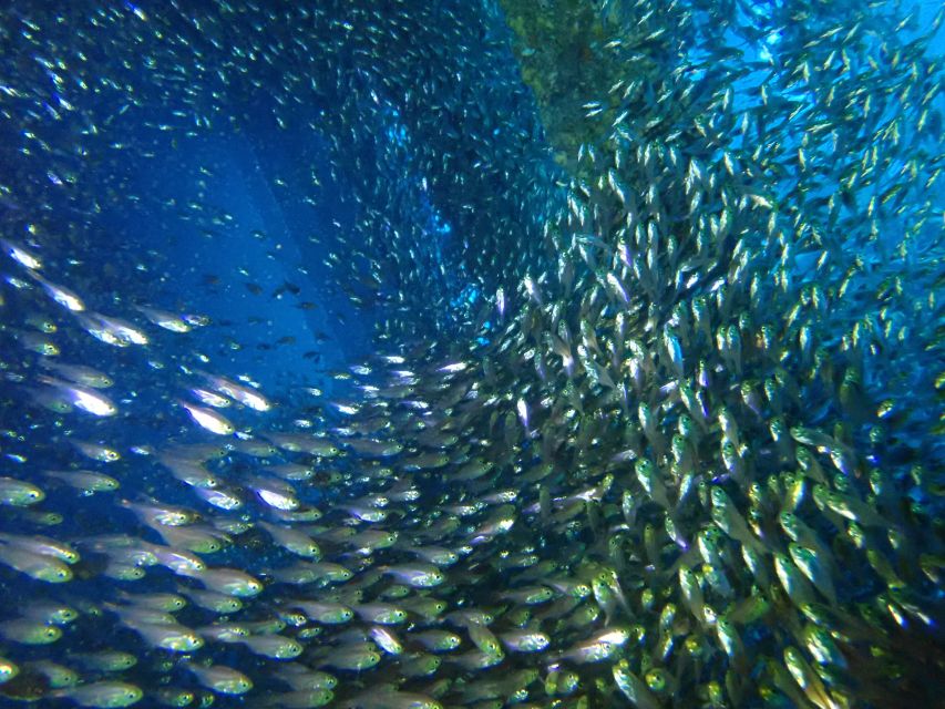 Tenerife: Costa Adeje Private Diving Lesson Experience - What to bring, what to skip, and how to stay comfortable