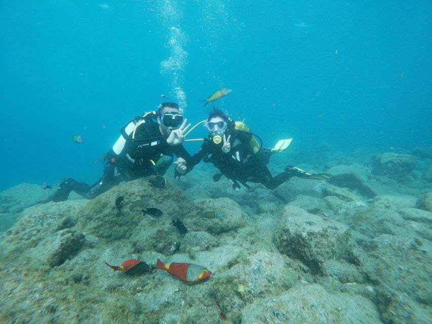 Tenerife: Costa Adeje Private Diving Lesson Experience - Meeting on the back side of the Commercial Center building