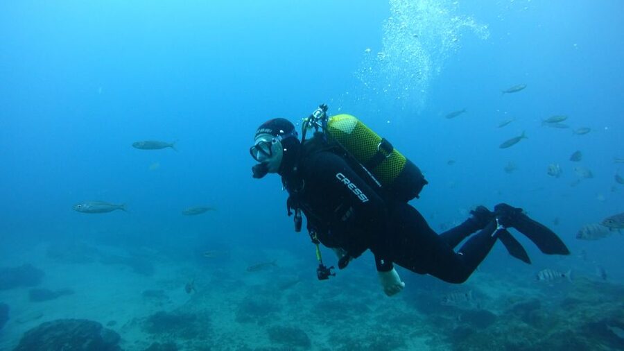 Tenerife: Discover Scuba Diving with Free Photos - Key Things to Know Before You Go