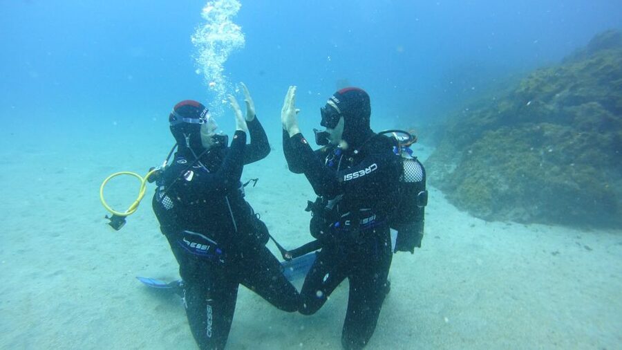 Tenerife: Discover Scuba Diving with Free Photos - Where Ocean Friends Starts in Marina del Sur