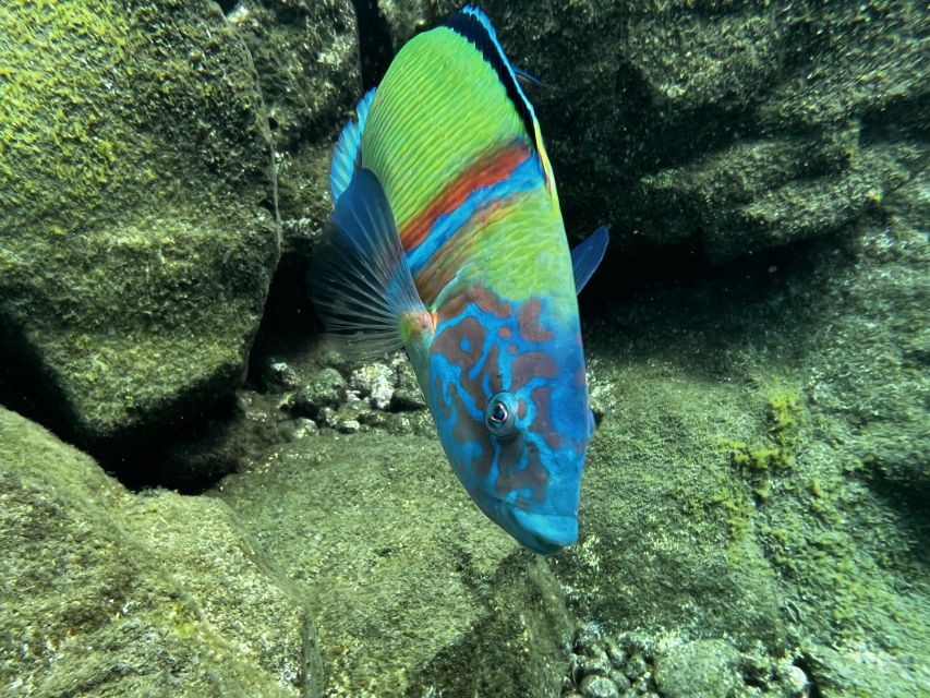 Tenerife : Diving License international in one day - A One-Day CMAS Scuba Diver License in Abades