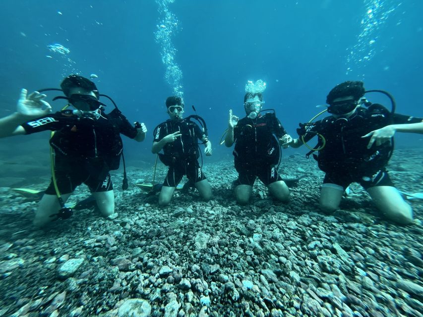 Tenerife : Diving License international in one day - Protecting Marine Life While You Learn