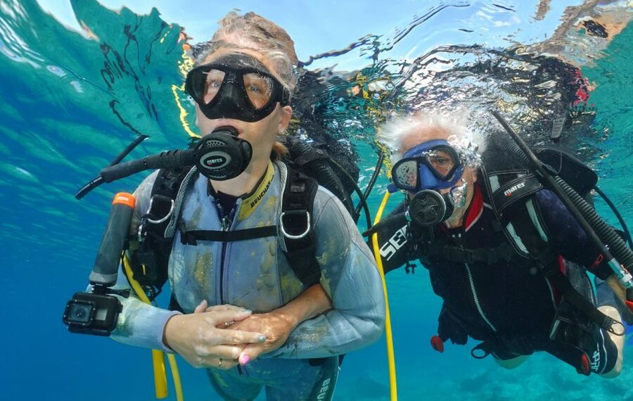 Tenerife : Diving License international in one day - Gear, Neoprene, Tank, and Photos Included