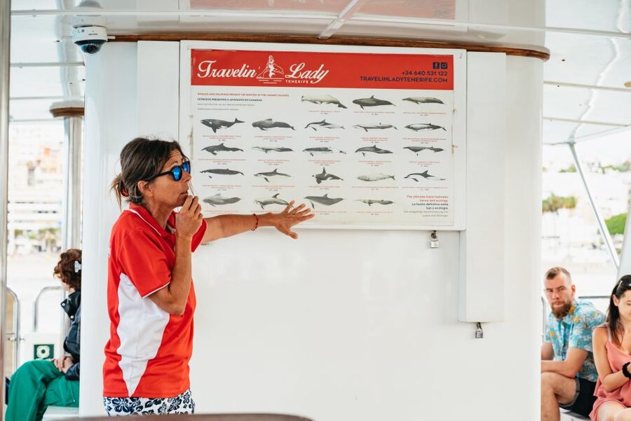Tenerife: Eco-Yacht Whale and Dolphin Watching and Swimming - Tenerife Whale Watching That Actually Includes Ocean Time