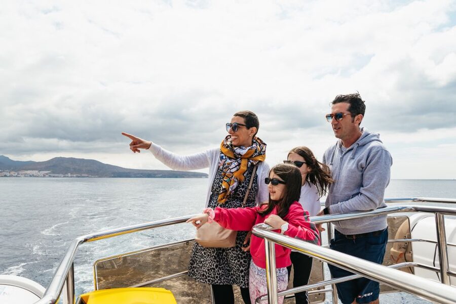 Tenerife: Eco-Yacht Whale and Dolphin Watching and Swimming - Your 90-Minute Itinerary, Stop by Stop in Los Cristianos